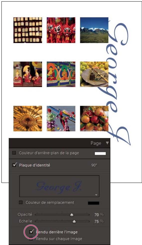 ADOBE LIGHTROOM 4 - Impression de votre plaque d'identité - 1
