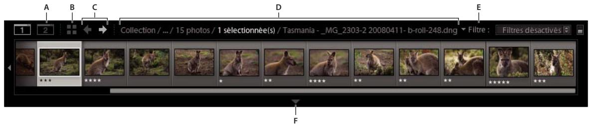 ADOBE LIGHTROOM 4 - A propos du film fixe - 1