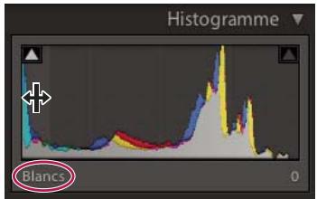 ADOBE LIGHTROOM 4 - A propos des histogrammes - 1