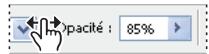 ADOBE PHOTOSHOP CS4 - A propos des curseurs de proximité - 1