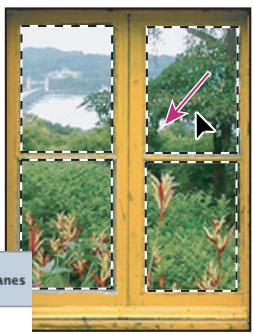 ADOBE PHOTOSHOP CS4 - Collage d'une seLECTION dans une autre - 4