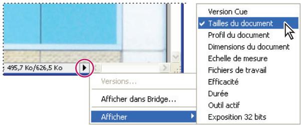 ADOBE PHOTOSHOP CS4 - Affichage des informations sur le fichier dans la fenetre du document - 1
