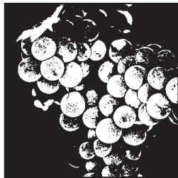 ADOBE PHOTOSHOP CS4 - Conversion d'une image en mode Bitmap - 2