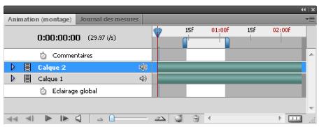 ADOBE PHOTOSHOP CS4 - Commande Relever la zone de travail (Photoshop Extended) - 1