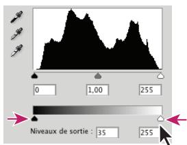 ADOBE PHOTOSHOP CS4 - Utilisation de la boîte de dialogue Niveau pour préserver des détails de tons clairs et de tons fonçés pour l'impression - 3