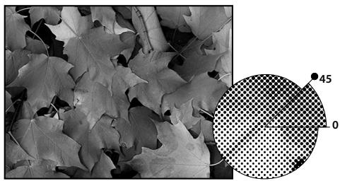 ADOBE PHOTOSHOP CS4 - Sélection d'attributs de trame de demi-teintes - 1