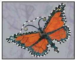 ADOBE PHOTOSHOP CS4 - Création d'un masque-temporaire - 5