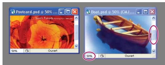 ADOBE PHOTOSHOP CS4 - Correspondance du zoom et des positions de différentes images - 2