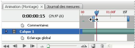 ADOBE PHOTOSHOP CS4 - Définition de la zone de montage à prévisualiser (Photoshop Extended) - 1