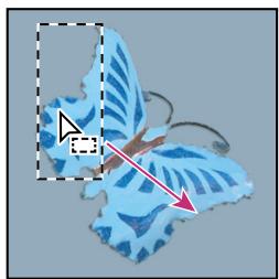 ADOBE PHOTOSHOP CS4 - Déplacement d'un cadre de sélection - 1