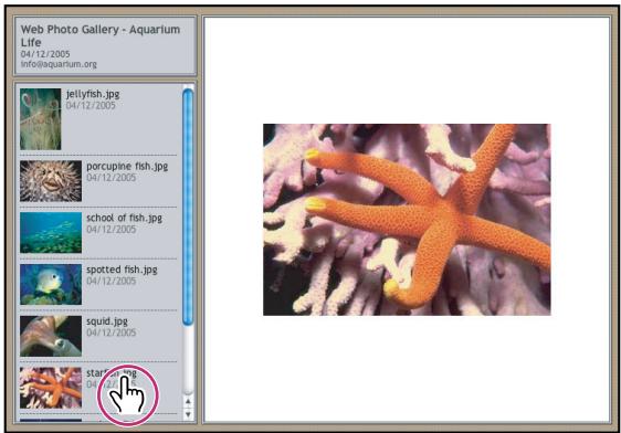 ADOBE PHOTOSHOP CS4 - A propos des galleries de photos Web - 1