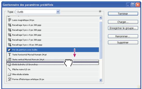 ADOBE PHOTOSHOP CS4 - A propos du Gestionnaire des paramètres prédéfinis - 1