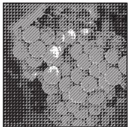 ADOBE PHOTOSHOP CS4 - Conversion d'une image en mode Bitmap - 3