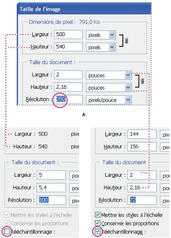ADOBE PHOTOSHOP CS4 - A propos des dimensions en pixels et de la résolution - 3