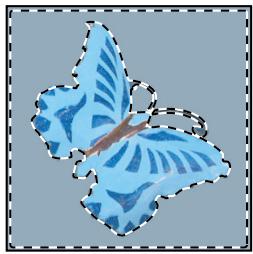 ADOBE PHOTOSHOP CS4 - Application d'un contour progressif à une sélection existante - 1