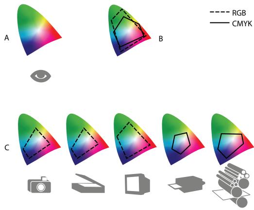 ADOBE PHOTOSHOP CS4 - Pourquoi les couleurs ne concordent pas toujours? - 1