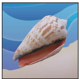 ADOBE PHOTOSHOP CS4 - Utilisation des masques d'image pour creator des transparencies - 2