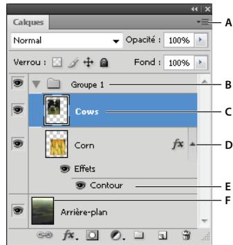 ADOBE PHOTOSHOP CS4 - Présentation du panneau Calques - 2