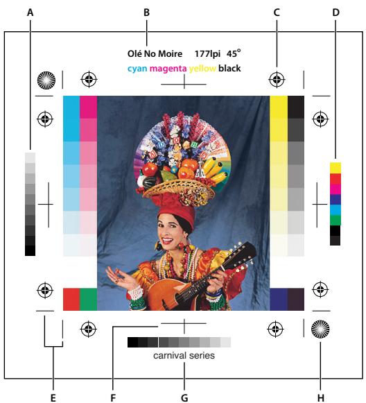 ADOBE PHOTOSHOP CS4 - Définition des options de sortie - 1