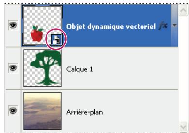 ADOBE PHOTOSHOP CS4 - A propos des objets dynamiques - 2