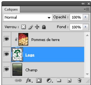 ADOBE PHOTOSHOP CS4 - Masquage de calques avec des masques d'écrêtage - 2