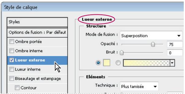 ADOBE PHOTOSHOP CS4 - Présentation de la boîte de dialogue Style de calque - 1