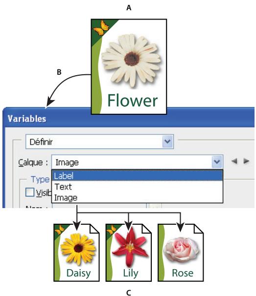 ADOBE PHOTOSHOP CS4 - Générez des graphiques en les exportant avec les données. - 1