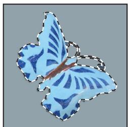 ADOBE PHOTOSHOP CS4 - Création d'une sélection autour d'un cadre de sélection - 1