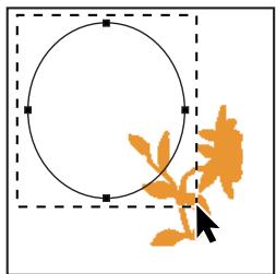 ADOBE PHOTOSHOP CS4 - Déplacement d'un tracé ou d'un élément de tracé - 1