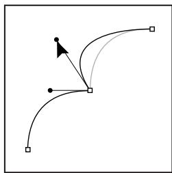 ADOBE PHOTOSHOP CS4 - Segments, composants et points de tracés - 5