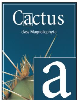 ADOBE PHOTOSHOP CS4 - Lissage du calque de texte - 1