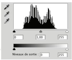 ADOBE PHOTOSHOP CS4 - Utilisation de la boîte de dialogue Niveau pour préserver des détails de tons clairs et de tons fonçés pour l'impression - 4