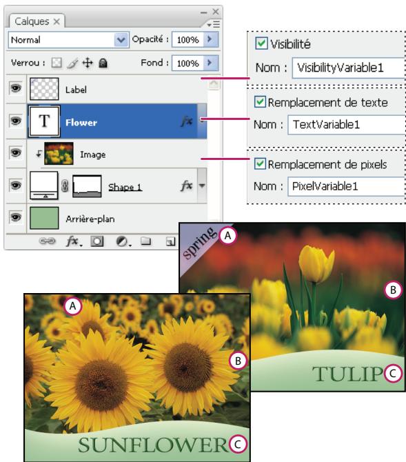 ADOBE PHOTOSHOP CS4 - Définition des variables - 1