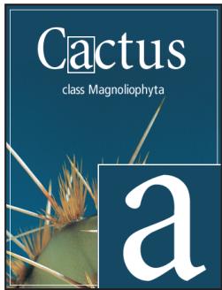 ADOBE PHOTOSHOP CS4 - Lissage du calque de texte - 2