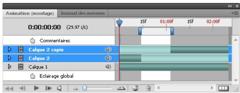 ADOBE PHOTOSHOP CS4 - Commande Relever la zone de travail (Photoshop Extended) - 2