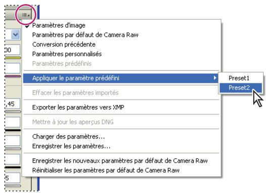 ADOBE PHOTOSHOP CS4 - Application des paramètres Camera Raw enregistrés - 1