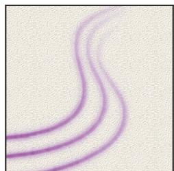 ADOBE PHOTOSHOP CS4 - Options de forme Autre dynamique - 2