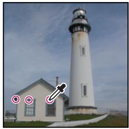 ADOBE PHOTOSHOP CS4 - Réglage des couleurs et de la tonalité à l'aide de la boîte de dialogue Courbes - 1