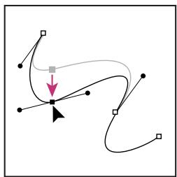 ADOBE PHOTOSHOP CS4 - Ajustement de la position ou de la forme des segments courbes - 3