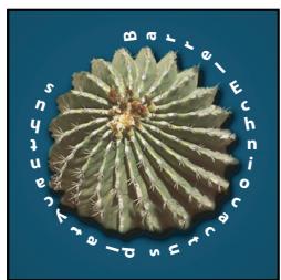 ADOBE PHOTOSHOP CS4 - Création et édition de texte curviligne - 4