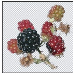 ADOBE PHOTOSHOP CS4 - Extraction d'un objet de son arrêté-plan - 3