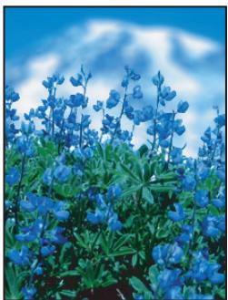 ADOBE PHOTOSHOP CS4 - Filtres Attenuation - 2