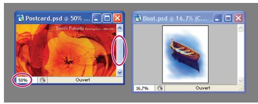 ADOBE PHOTOSHOP CS4 - Correspondance du zoom et des positions de différentes images - 1