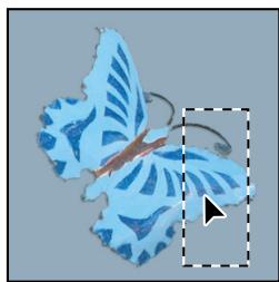 ADOBE PHOTOSHOP CS4 - Déplacement d'un cadre de sélection - 2