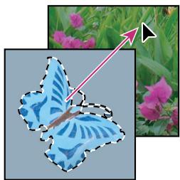 ADOBE PHOTOSHOP CS4 - Copied'une sélection par glisser-deposer - 1