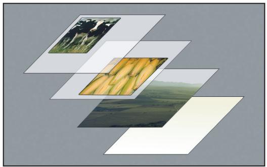 ADOBE PHOTOSHOP CS4 - A propos des calques - 1