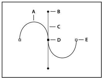 ADOBE PHOTOSHOP CS4 - Segments, composants et points de tracés - 1