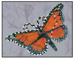 ADOBE PHOTOSHOP CS4 - Création d'un masque-temporaire - 7