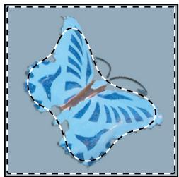 ADOBE PHOTOSHOP CS4 - Application d'un contour progressif à une sélection existante - 3