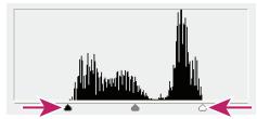ADOBE PHOTOSHOP CS4 - Réglage de la gamme des tons à l'aide de la boîte de dialogue Niveauux - 3
